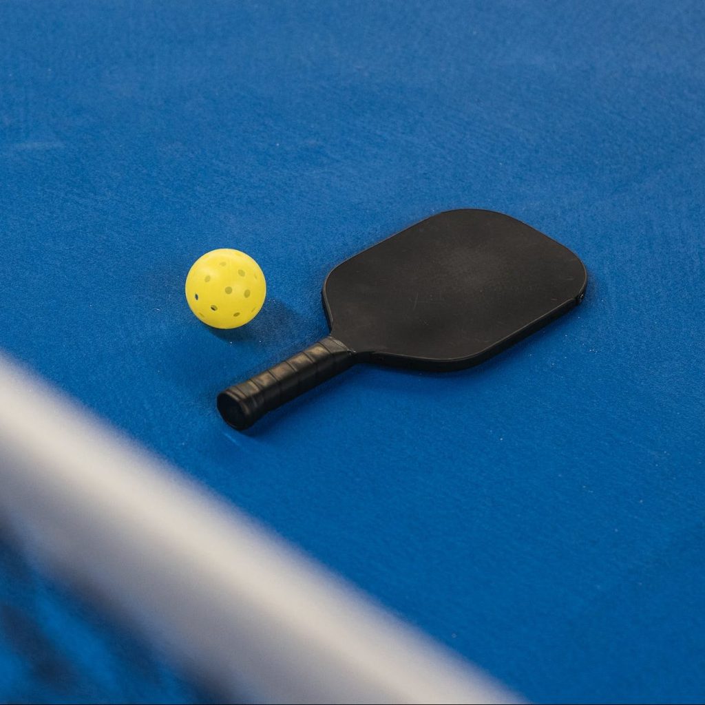 pickleball paddle ball court net